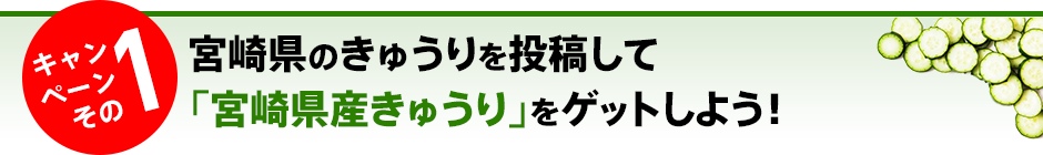 キャンペーンその1　宮崎県のきゅうりを投稿して「宮崎県産きゅうり」をゲットしよう！
