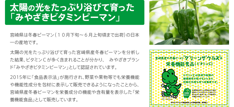 太陽の光をたっぷり浴びて育った 「みやざきビタミンピーマン」  宮崎県は冬春ピーマン（１０月下旬～６月上旬頃まで出荷）の日本一の産地です。太陽の光をたっぷり浴びて育った宮崎県産冬春ピーマンを分析した結果、ビタミンＣが多く含まれることが分かり、　みやざきブランド「みやざきビタミンピーマン」として認証されています。2015年に「食品表示法」が施行され、野菜や果物等でも栄養機能や機能性成分を包材に表示して販売できるようになったことから、宮崎県産冬春ピーマンを栄養成分の機能や含有量を表示した「栄養機能食品」として販売しています。