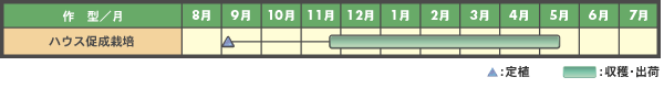͔|Xe[W