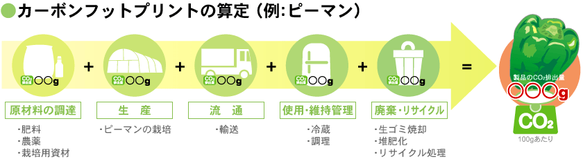 カーボンフットプリントの算定 （例：ピーマン）