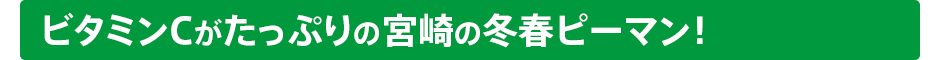 ビタミンCがたっぷりの宮崎の冬春ピーマン！