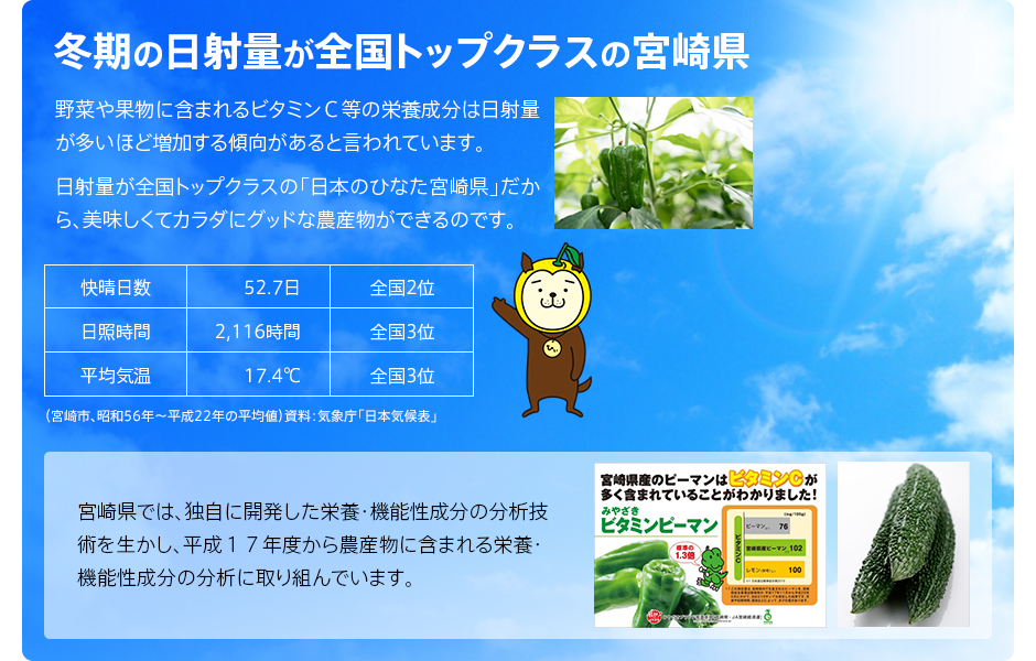 冬期の日射量が全国トップクラスの宮崎県 野菜や果物に含まれるビタミンＣ等の栄養成分は日射量が多いほど増加すると言われています。日射量が全国トップクラスの「日本のひなた宮崎県」だから、美味しくてカラダにグッドな農産物ができるのです。 宮崎県では、独自に開発した栄養・機能性成分の分析技術を生かし、平成１７年度から農産物に含まれる栄養・機能性成分の分析に取り組んでいます。