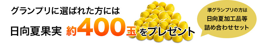 グランプリに選ばれた方には日向夏果実約400玉をプレゼント　準グランプリには日向夏加工品等詰め合わせセット