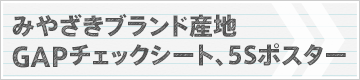 みやざきブランド産地GAPチェックシート、5Sポスター