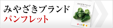 みやざきブランドパンフレット