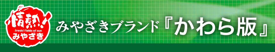 みやざきブランド『かわら版』