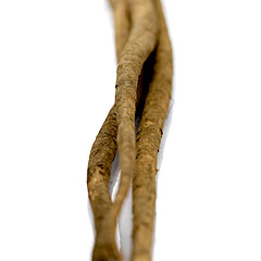 ݂₴ڂ