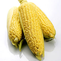 ݂₴گĺ