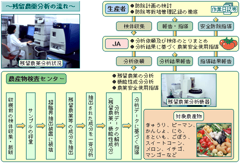 残留農薬分析の流れ