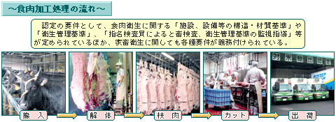 食肉加工処理の流れ
